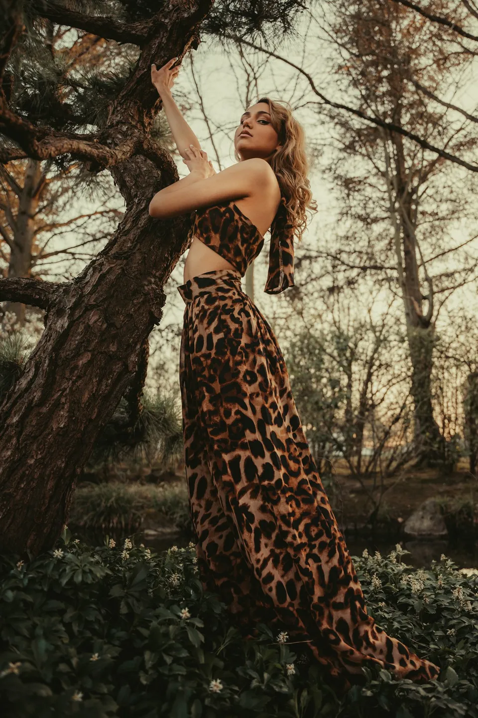 Jan D, portfolio image 17